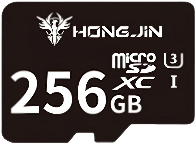 HONG JIN 宏晉 microSD高速記憶卡, 256GB, 1個