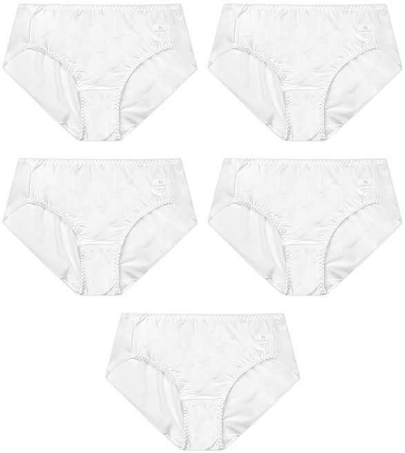 블루핀 여성용 노라인 햄팬티 5종세트 빅사이즈 포함