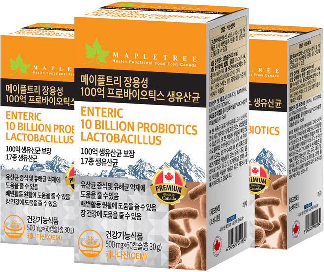 메이플트리 장용성 100억 프로바이오틱스 생유산균, 3개, 60정