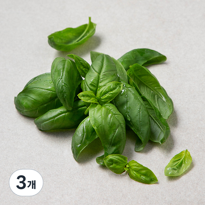 국내산 바질, 3개, 10g