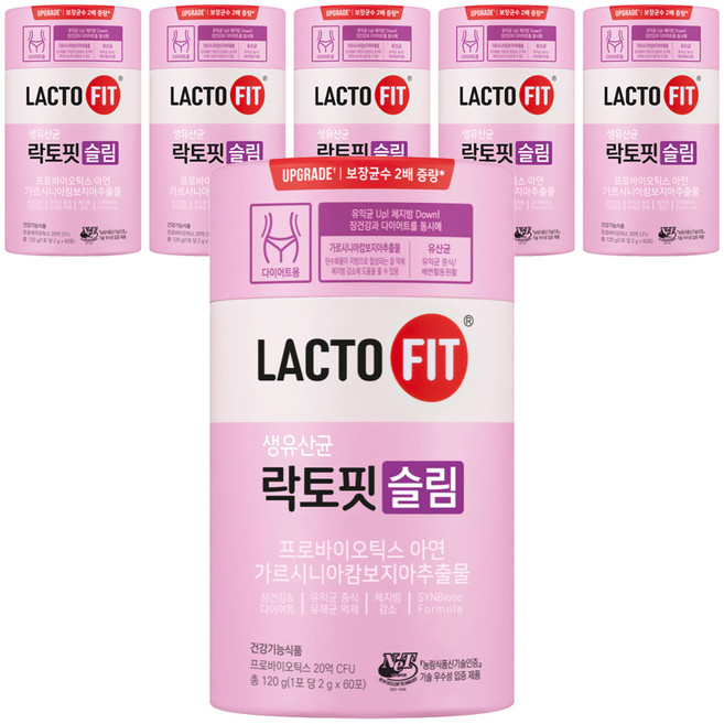 락토핏 슬림 유산균, 120g, 6개