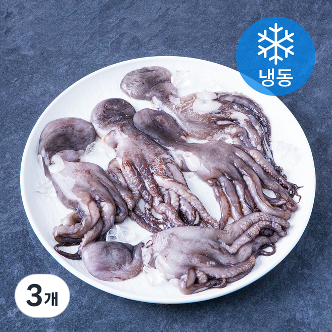 낙지 (냉동), 450g, 3개