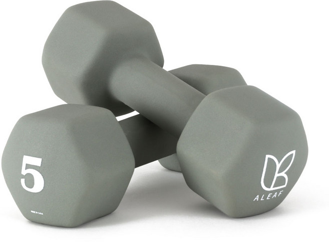 아리프 네오프렌 선인장 아령, 5kg, 2개