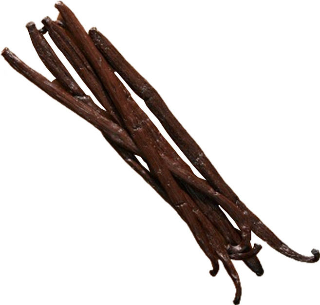 매드바닐라 마다가스카르 바닐라빈, 100g, 1개