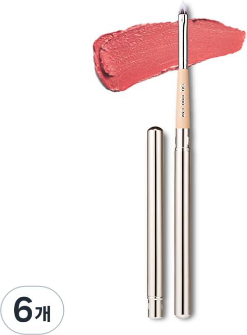 더툴랩 리트렉터블 립 브러쉬 302, 6개