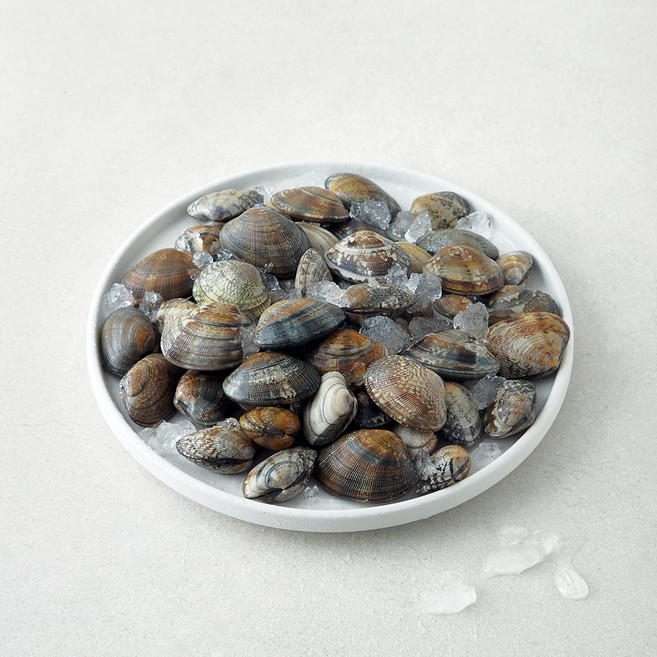 직접 손으로 채취한 서해안 갯벌 참 바지락, 1kg, 1개