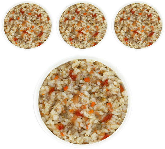 짱죽 유아용 실온 이유식 완료기 아기밥, 혼합맛(비프/토마토), 160g, 4개