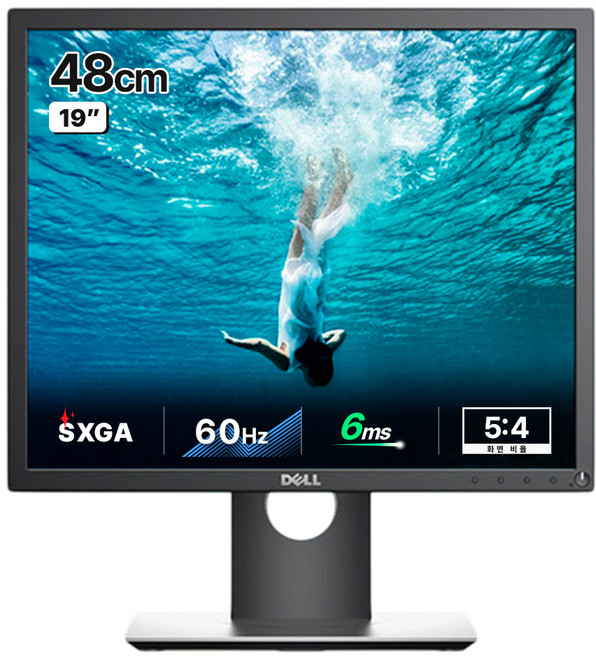 델 SXGA 모니터, 48cm, P1917S