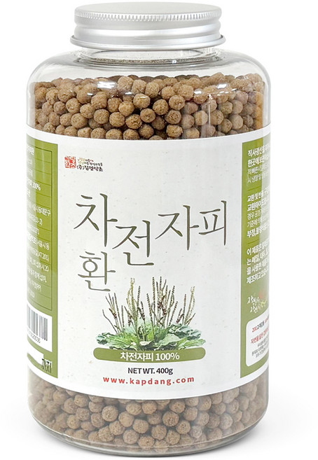 갑당약초 차전자피환, 400g, 1개