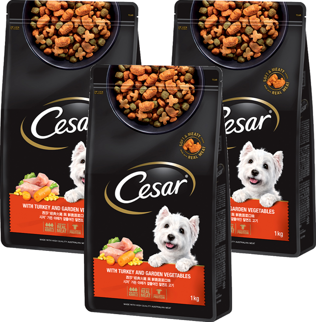 시저 어덜트 강아지 건식사료, 칠면조, 1kg, 3개