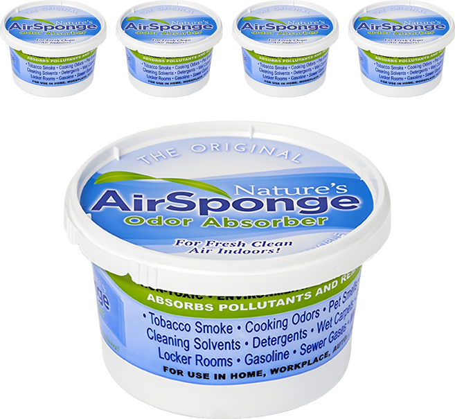 네이처스에어스펀지 오리지널 실내 탈취제 본품 대형, 454g, 5개