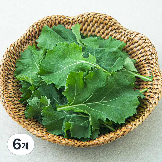 국내산 친환경 베이비케일, 50g, 6개