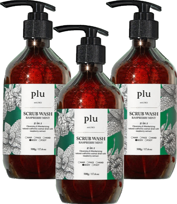 플루 데일리 스크럽 바디워시 라즈베리민트, 500g, 3개