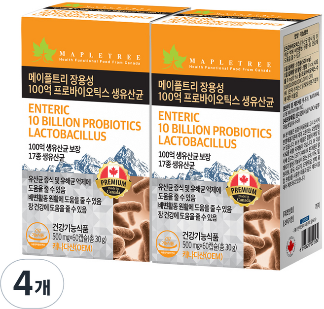 메이플트리 장용성 100억 프로바이오틱스 생유산균, 4개, 60정