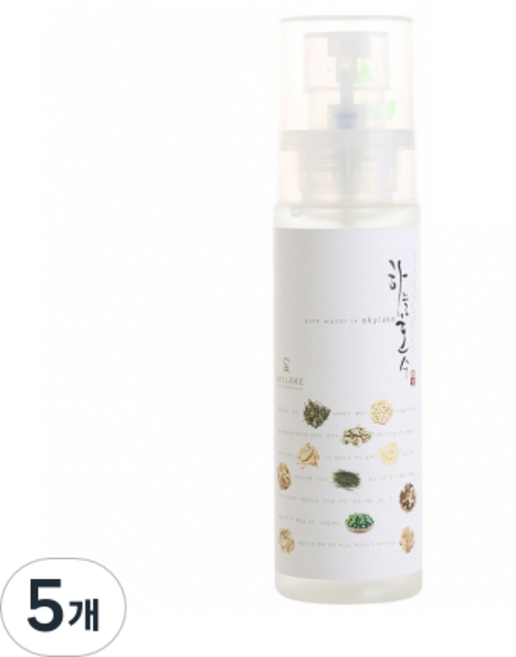 SKYLAKE 한방스킨, 100ml, 5개