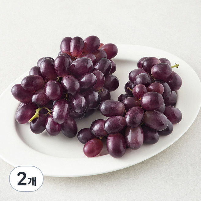 칠레 적포도, 900g, 2개