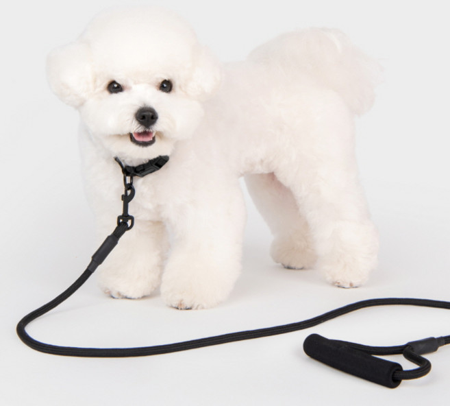 올치 카라리드 세트, 블랙, 1세트