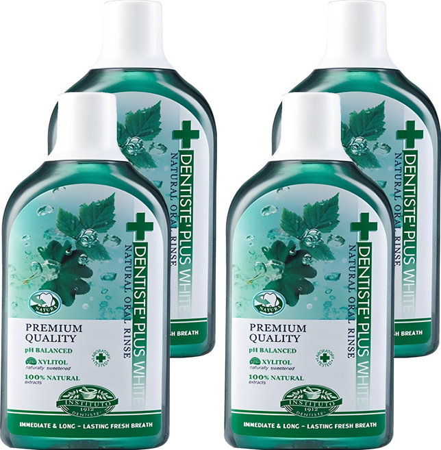 덴티스테 내츄럴 오랄린스 구강청결제, 700ml, 4개