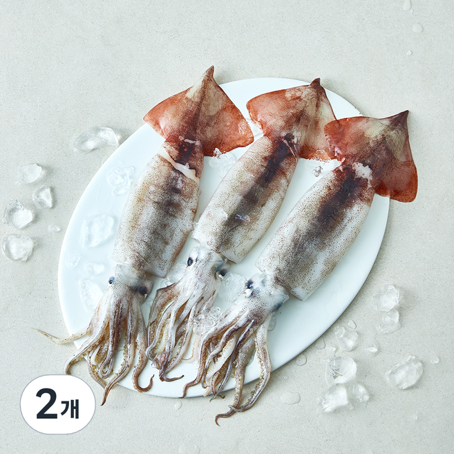 산지직송 일품 햇 선별 생물오징어 대 3마리 (냉장), 2개, 600g