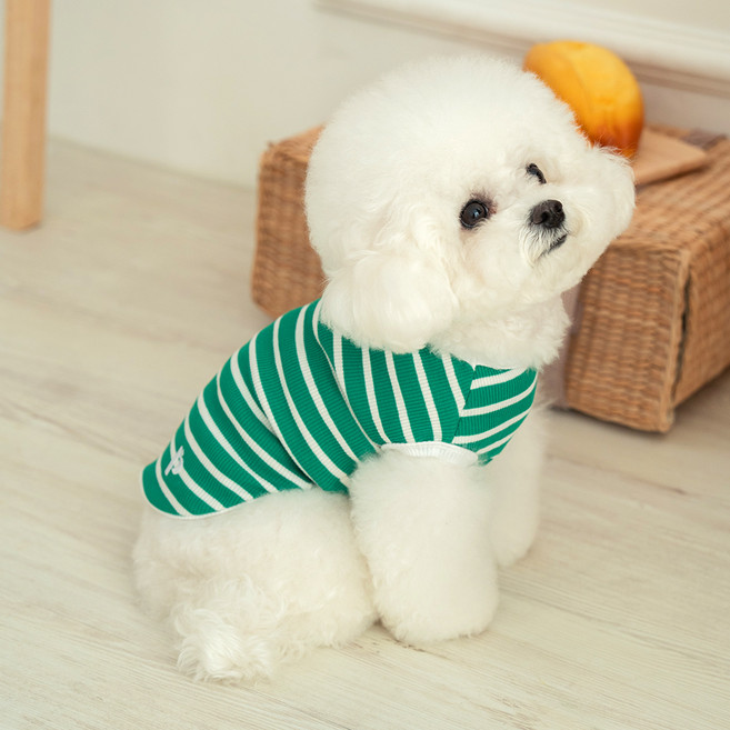 펫츠랜드 강아지 로키 티셔츠, 그린, 1개