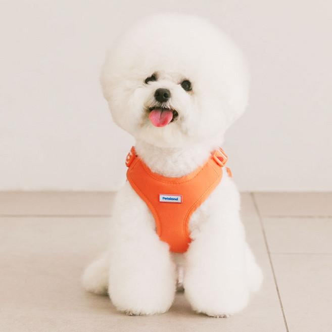 펫츠랜드 강아지 하트팝 X형 하네스, 탠저린오렌지, 1개