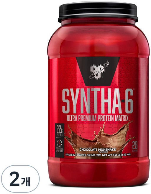 신타6 단백질 파우더 초코맛, 1.32kg, 2개
