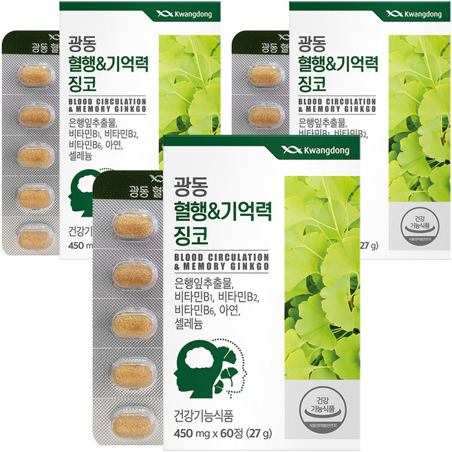 광동 혈행&기억력 징코, 60정, 3개