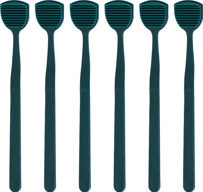 생활도감 10중 스크래퍼 혀클리너 그린, 6개