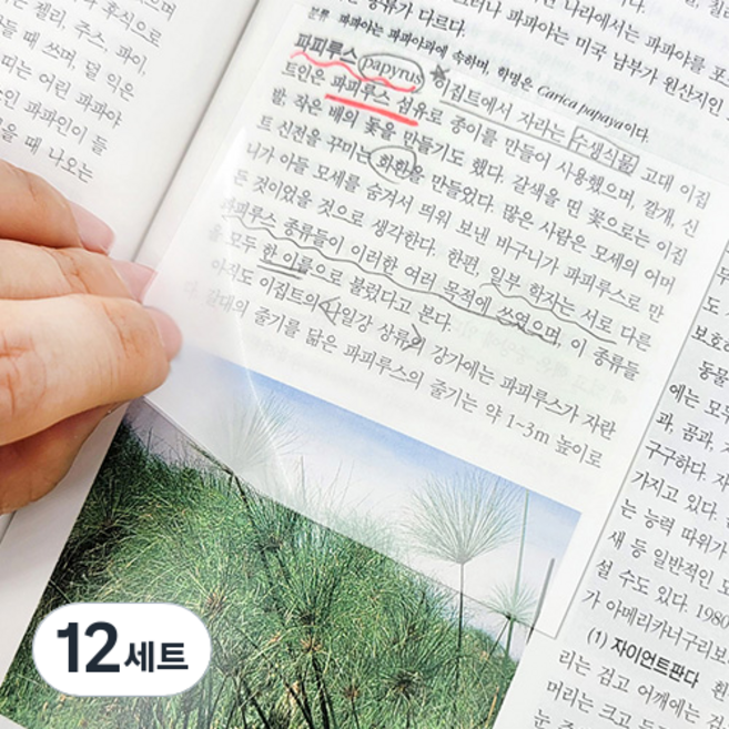 OON 점착식 오답노트 투명 메모 포스트잇 M 50매 + L 50매 세트, 12세트