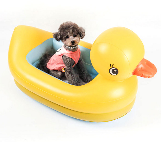 딩동펫 반려동물용 동물튜브, 오리, 1개