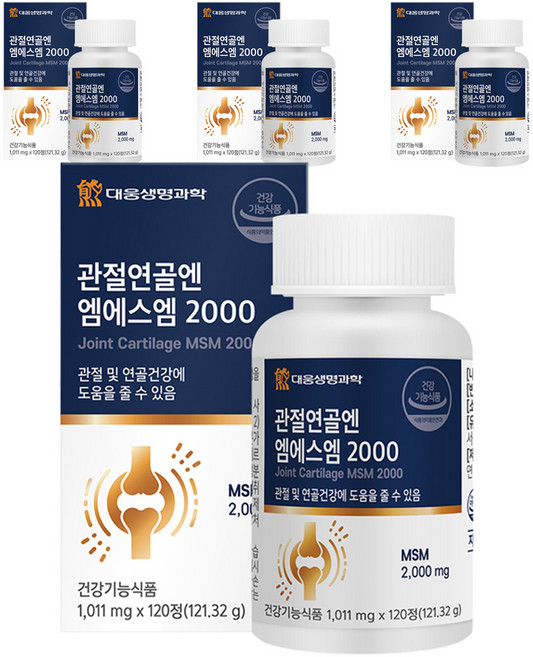 대웅생명과학 관절연골엔 엠에스엠 2000, 120정, 4개