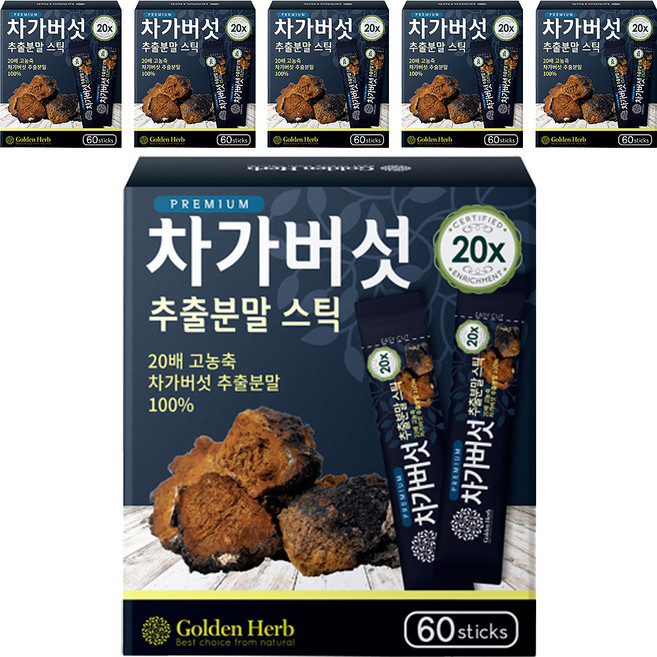 골든허브 프리미엄 차가버섯 추출분말 스틱, 60g, 6개
