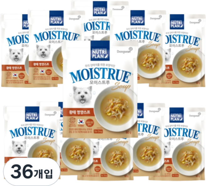동원뉴트리플랜 강아지 모이스트루 황태영양스프 습식사료, 황태, 60g, 36개
