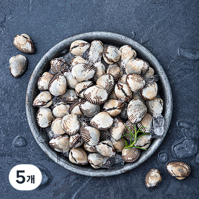 바다자리 생물 새꼬막 (냉장), 0.8kg, 5개