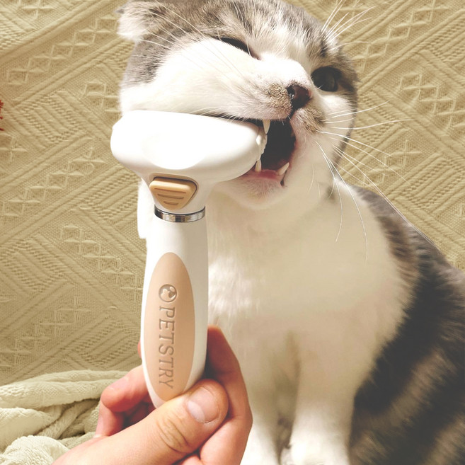 펫스츄리 반려동물 원터치 죽은털제거 디쉐딩 퍼펫트 브러쉬 S, 베이지 + 화이트, 1개