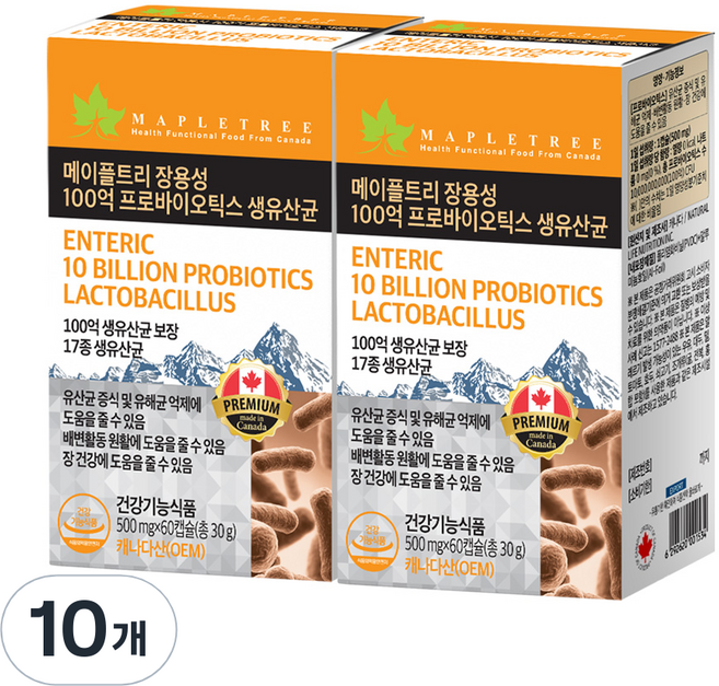 메이플트리 장용성 100억 프로바이오틱스 생유산균, 10개, 60정