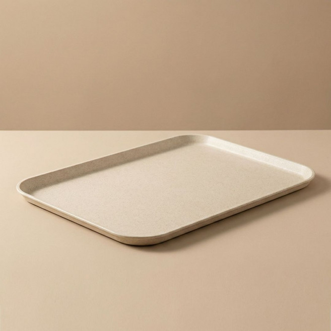 데이나 컬러 트레이, 베이지, 1개