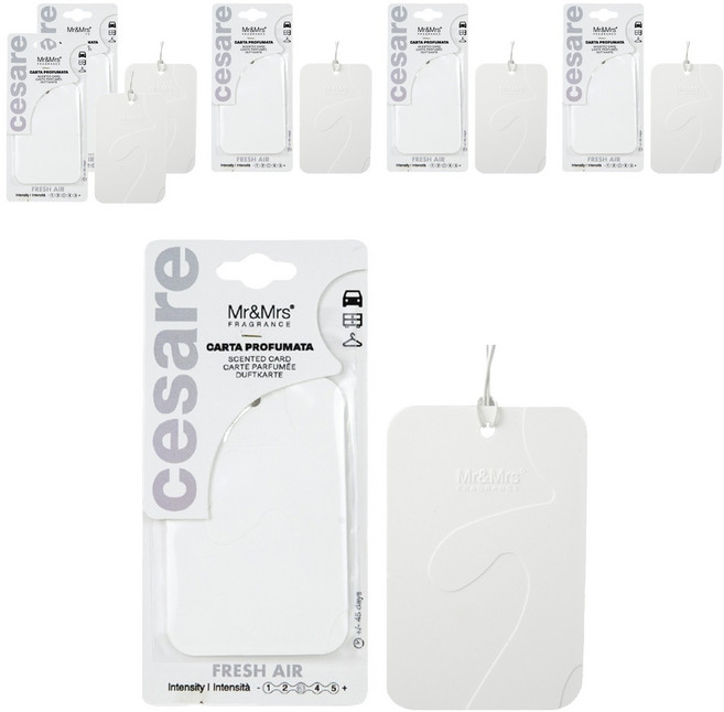 미스터앤미세스 체사레 카드형 멀티 차량용 방향제, 6개, 프레쉬에어