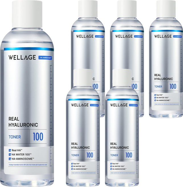웰라쥬 리얼 히알루로닉 100 토너, 200ml, 6개