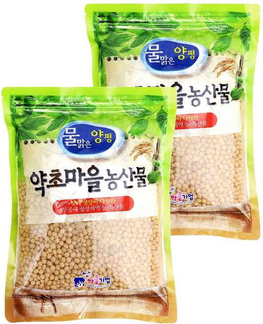 증안리약초마을 콩나물콩, 600g, 2개