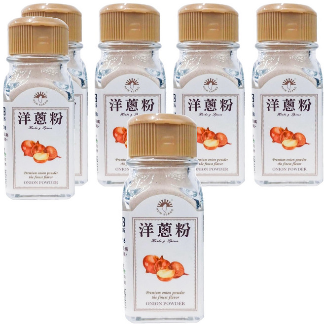 新光洋菜 洋蔥粉, 40g, 6瓶