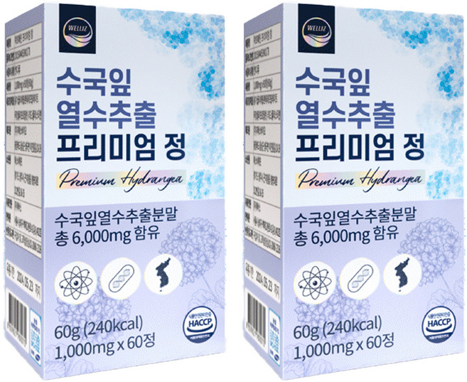 웰리즈 수국잎 열수추출 프리미엄 정 60g, 60정, 2개