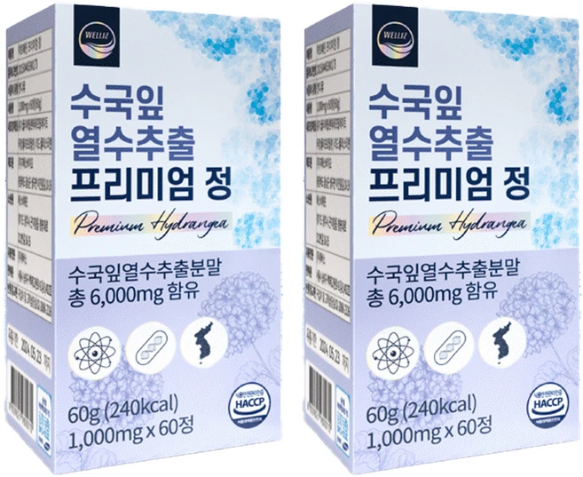 웰리즈 수국잎 열수추출 프리미엄 정 60g, 60정, 2개 - 쿠팡