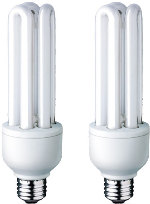 장수램프 안정기 내장형 램프 20W EL 20EX-D, 주광색, 2개