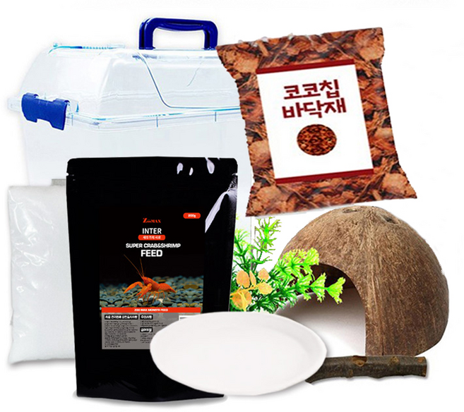 로라펫 소라게 키우기 세트, 혼합색상, 1개