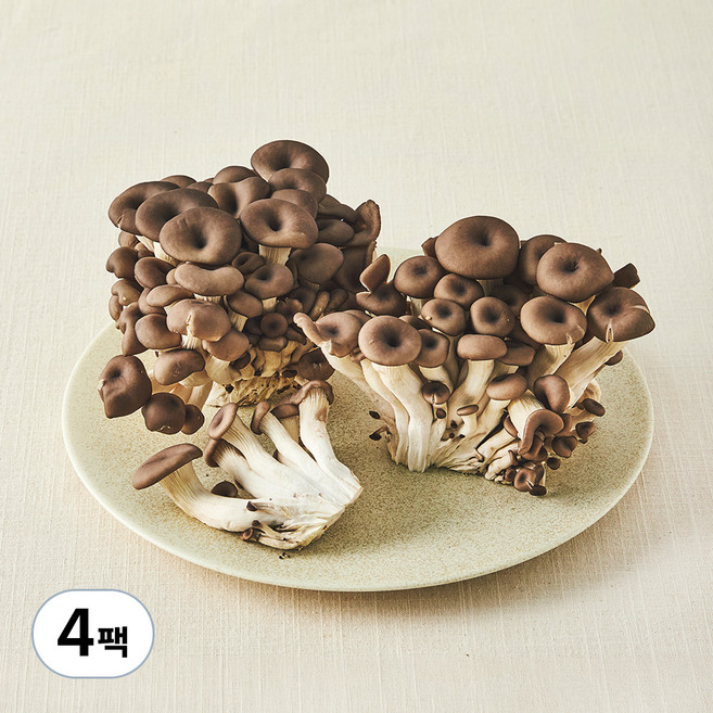 친환경 느타리버섯, 400g, 4팩