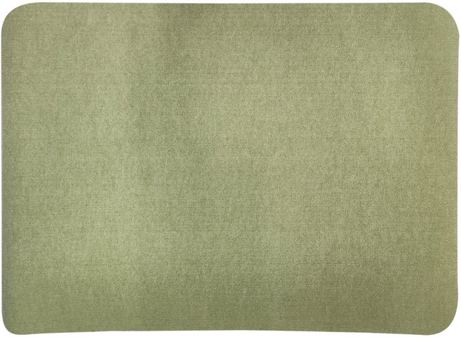 SANKO Okudake Kyuchaku 吸著式防刮防污地墊, 綠色, 1個