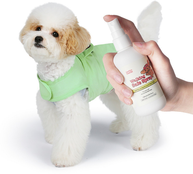 래핑찰리 워킹 세이프 스프레이, 120ml, 1개