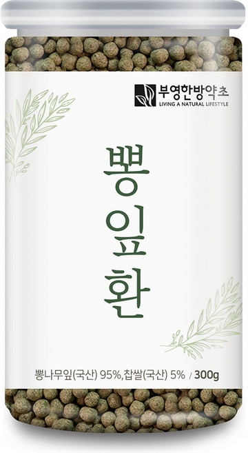 부영한방약초 뽕잎환, 1개, 300g