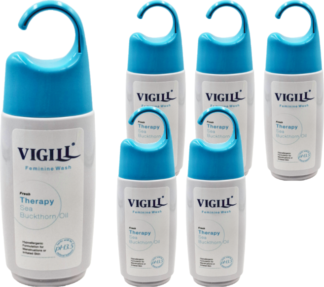 VIGILL 婦潔 私密沐浴露 生理加護型 加強舒淨 沙棘果油, 220ml, 6瓶